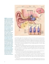 Brain Facts A Primer on the Brain and Nervous System