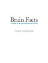 Brain Facts A Primer on the Brain and Nervous System