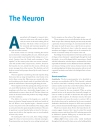 Brain Facts A Primer on the Brain and Nervous System