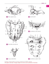 Pocket Atlas of Human Anatomy Based on the International Nomenclature