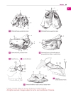 Pocket Atlas of Human Anatomy Based on the International Nomenclature