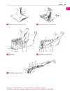 Pocket Atlas of Human Anatomy Based on the International Nomenclature