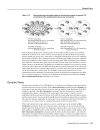 CCIE Network Design