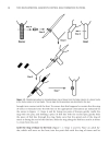 Key Experiments in Practical Developmental Biology