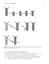 Key Experiments in Practical Developmental Biology