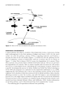 Key Experiments in Practical Developmental Biology