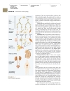 Human Physiology The Mechanisms of Body Function 8th Ed