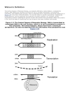 Bioinformatics Computing