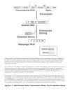 Bioinformatics Computing