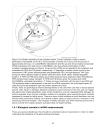 Microarrays for an Integrative Genomics Computational Molecular Biology