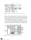 Parallel Architectures for Programmable Video Signal Processing