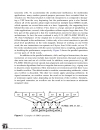 Parallel Architectures for Programmable Video Signal Processing