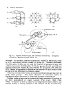 Adsorption Engineering