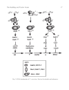 Cell Cycle Control Mechanisms and Protocols Methods in Molecular Biology