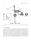 Cell Cycle Control Mechanisms and Protocols Methods in Molecular Biology