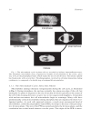 Cell Cycle Control Mechanisms and Protocols Methods in Molecular Biology