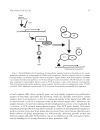 Cell Cycle Control Mechanisms and Protocols Methods in Molecular Biology