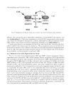 Cell Cycle Control Mechanisms and Protocols Methods in Molecular Biology