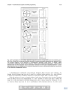 Larry W Lake Petroleum Engineering Handbook Volume II