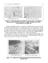 ELECTROCHEMISTRY AND CORROSION SCIENCE