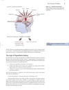 Biology Science for Life