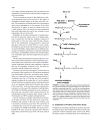 Encyclopedia of Physical Science and Technology Biochemistry 3rd Ed