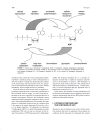 Encyclopedia of Physical Science and Technology Biochemistry 3rd Ed