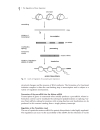 Biochemistry of Signal Transduction and Regulation 3d ed