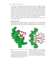 Biochemistry of Signal Transduction and Regulation 3d ed