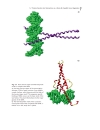 Biochemistry of Signal Transduction and Regulation 3d ed