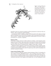 Biochemistry of Signal Transduction and Regulation 3d ed