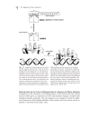 Biochemistry of Signal Transduction and Regulation 3d ed