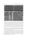 Nuclear Import and Export in Plants and Animals