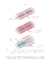 Microwave Circuit Modeling Using Electromagnetic Field Simulation