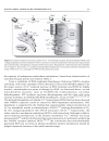 Molecular and Cellular Biology of Neuroprotection in the CNS Christian Alzheimer