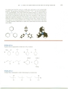 Nucleophilic Substitution Reactions