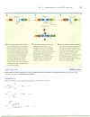 Nucleophilic Substitution Reactions