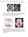 Psychiatry as a Neuroscience