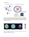 Psychiatry as a Neuroscience