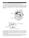 Automotive Computer Controlled Systems Diagnostic Tools And Techniques