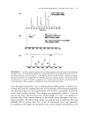 Integrated Strategies for Drug Discovery Using Mass Spectrometry