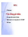 Giáo trình mạng MPLS