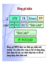 Giáo trình mạng MPLS