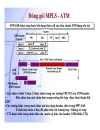 Giáo trình mạng MPLS