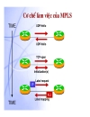 Giáo trình mạng MPLS