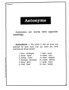 Vocabulary Builder with Antonyms Synonyms Homophones and Homographs