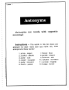 Vocabulary Builder with Antonyms Synonyms Homophones and Homographs