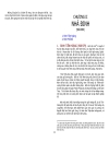 Việt Nam Sử Lược PDF