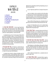 Việt Nam Sử Lược PDF