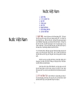 Việt Nam Sử Lược PDF